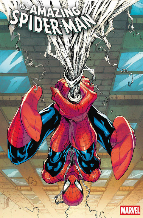 RYAN STEGMAN
