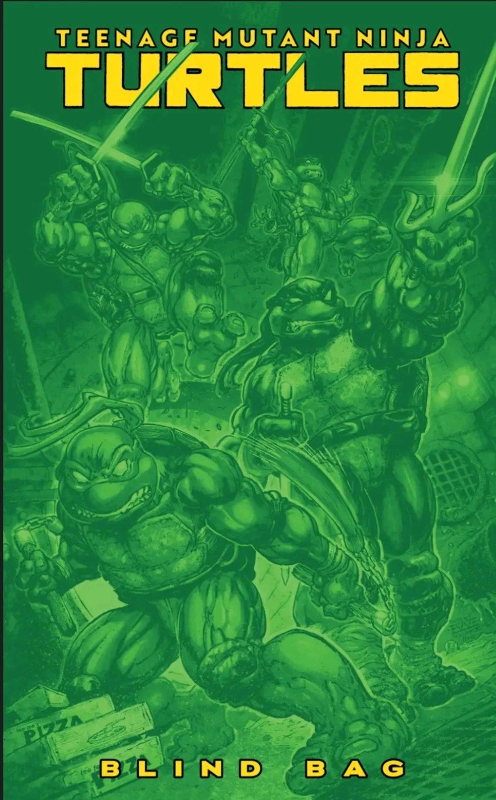 TEENAGE MUTANT NINJA TURTLES #13