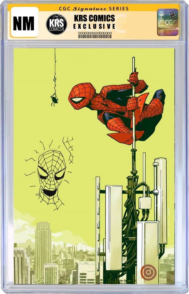 AMAZING SPIDER-MAN #39 ALAN QUAH EXCLUSIVE OPTIONS – KRS Comics LLC